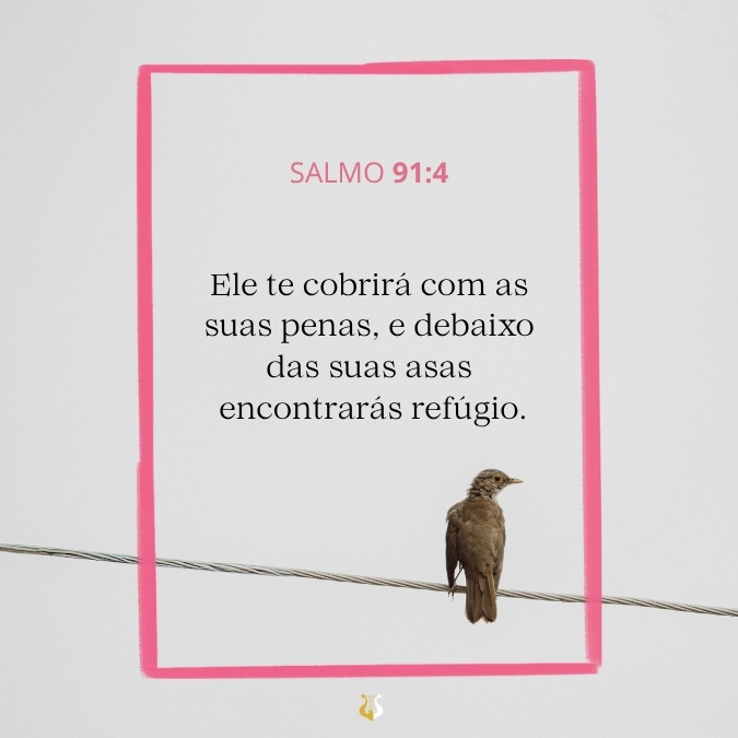 frase do salmos 91-4 para status